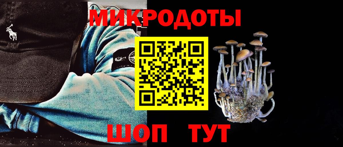 Галлюциногенные грибы Psilocybe  Вход с VPN  Псилоцибиновые грибы GOLDEN TEACHER  Камень-на-Оби 